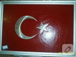FİLOGRAFİ