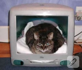 Eski monitörden kedi evi