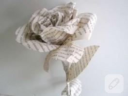 gazete, dergi yada kitap:)