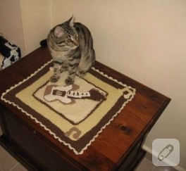 Kedi Battaniyesi