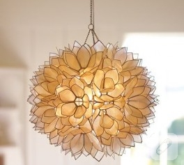 LOTUS..