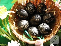 Yumurtadan cicek yapimi…