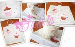 Cupcake’li ve My Melody’li Çanta Yaptımmm