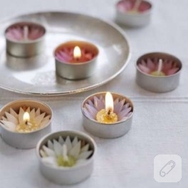Lotus…