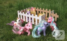Pony Çiti