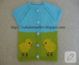 ***CİVCİVLİ BEBEK YELEĞİ***