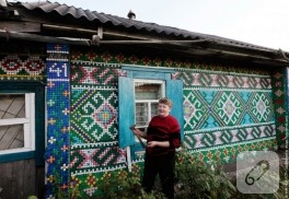 Yuvasını işleyen dişi kuş