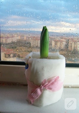 Saksı süsleme