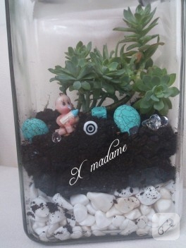 Terrarium yaptım