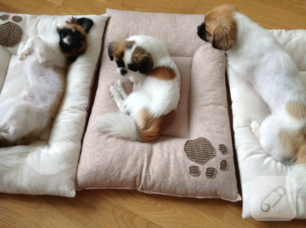 Kedi köpek yatağı (dikiş)