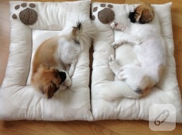 Kedi köpek yatağı (dikiş)