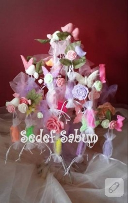 Dekoratif sabun ağacı