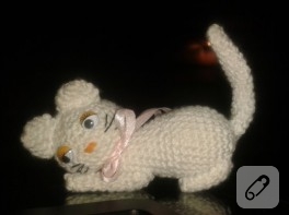 Narin örgü kedi